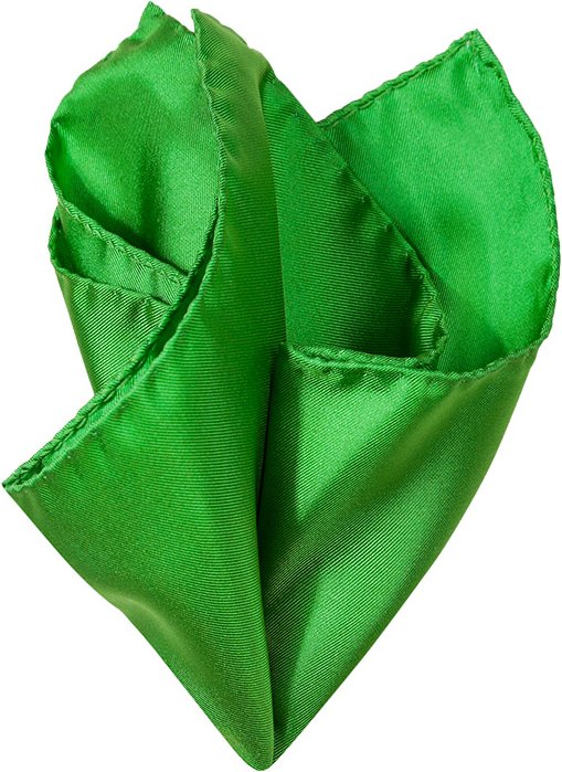 Ascot Herren Einstecktuch grün