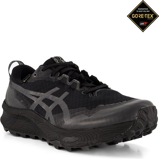 ASICS Herren Laufschuhe schwarz Funktion & Gore-Tex
