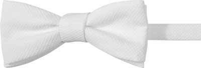 Ascot Herren Schleife weiß