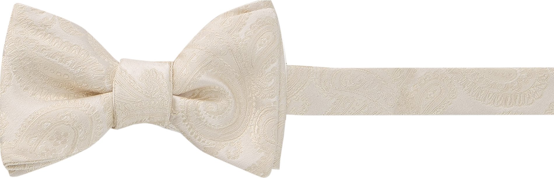 Ascot Herren Schleife beige