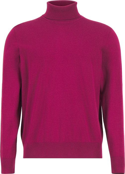 HECHTER PARIS Herren Rollkragenpullover rot unifarben