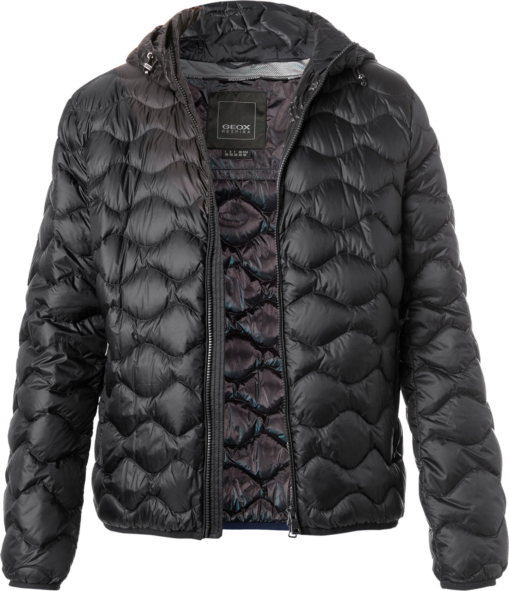 GEOX Herren Daunenjacke schwarz unifarben