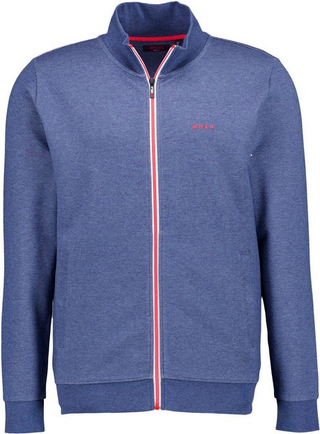 N.Z.A. Herren Pullover blau unifarben