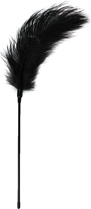 EasyToys »Feder« Tickler