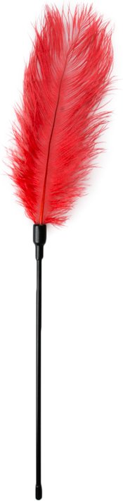 Easytoys Fetish - Roter Feder-Tickler