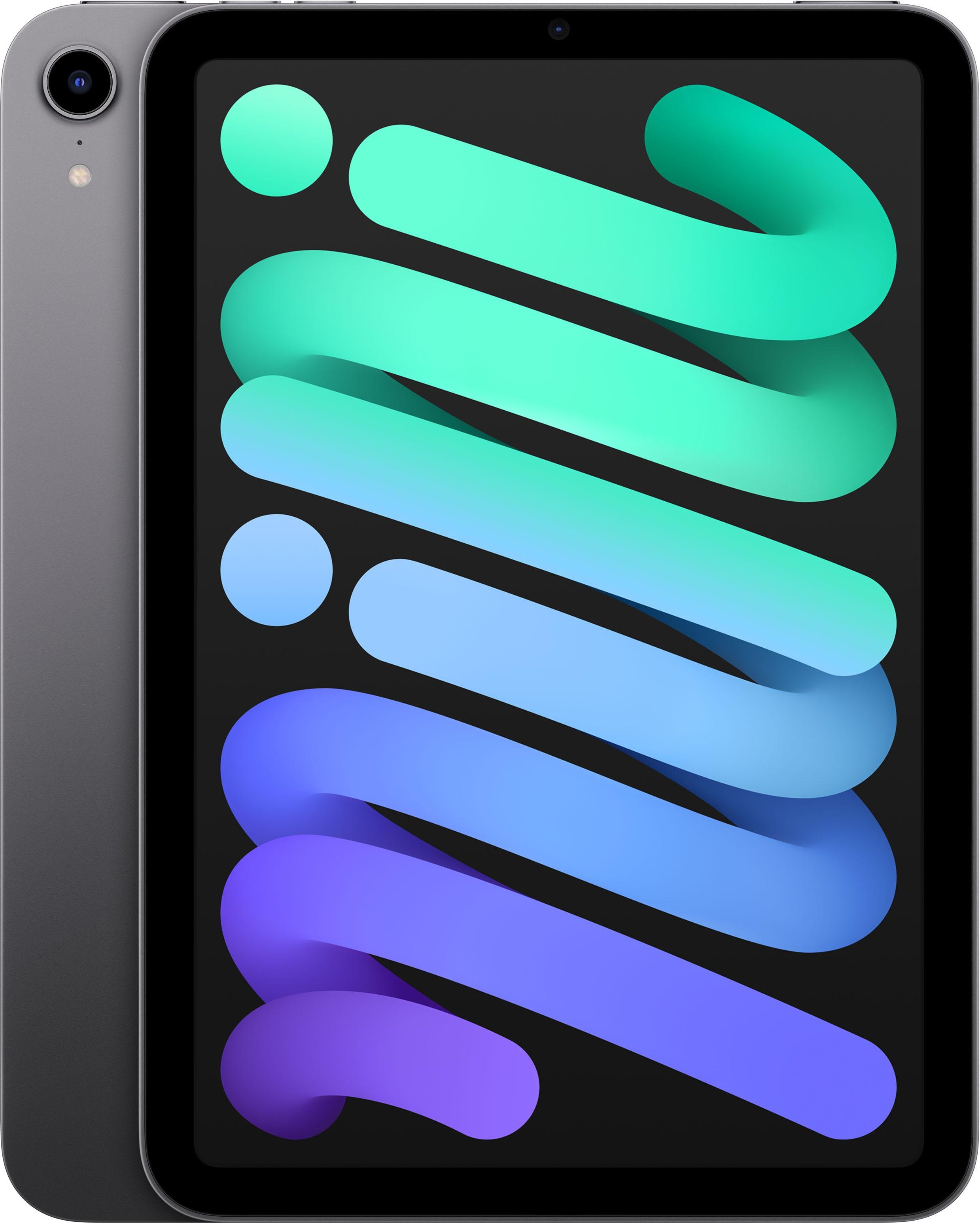 iPad mini WiFi 64 GB Space Grau