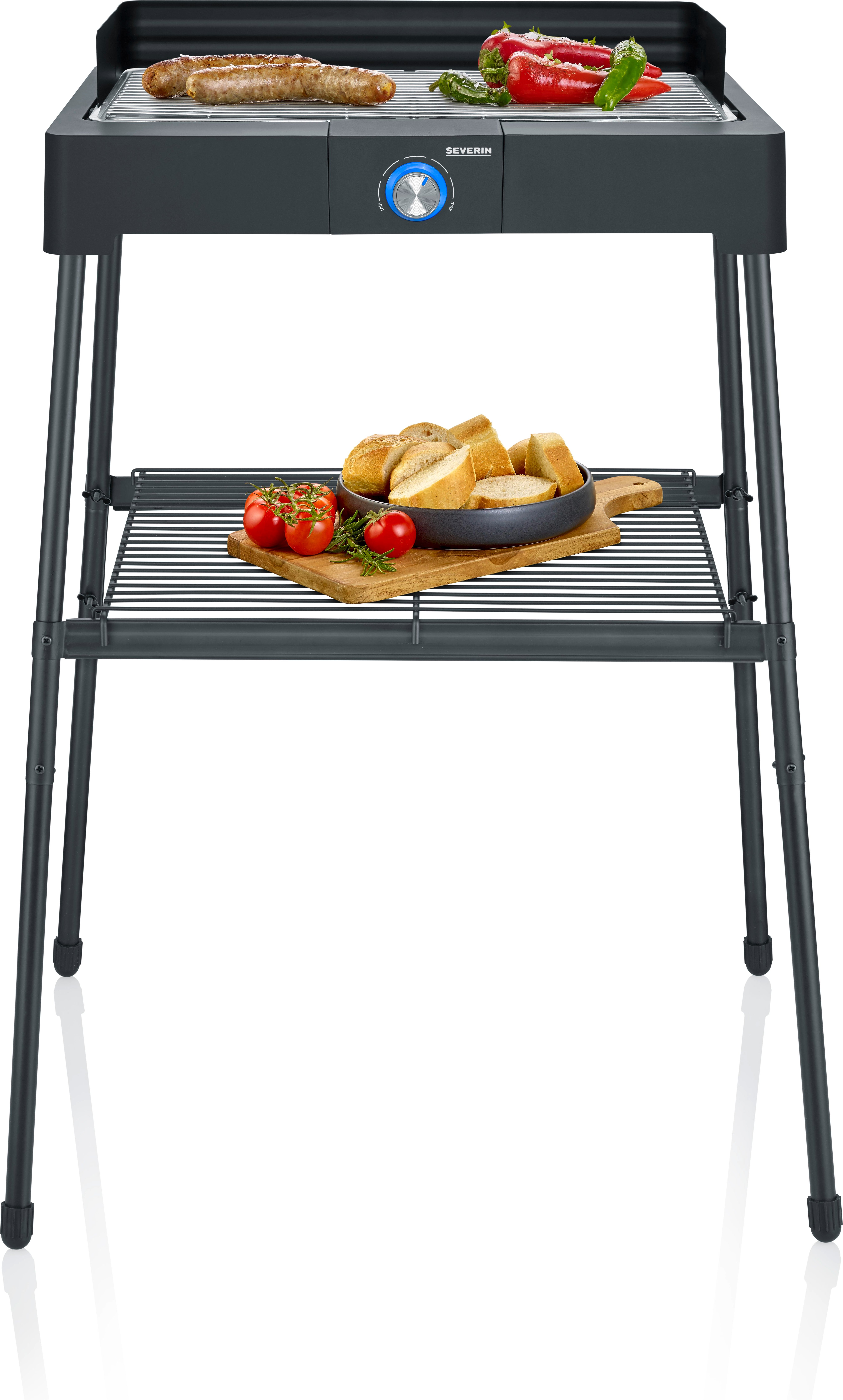 PG 8566 Standgrill