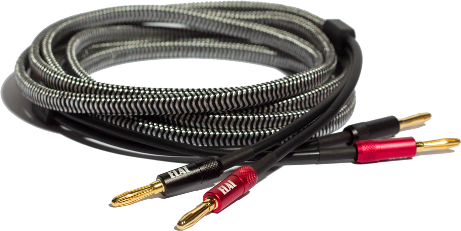 Sensible Lautsprecher Kabel 3 m SPW-10ft