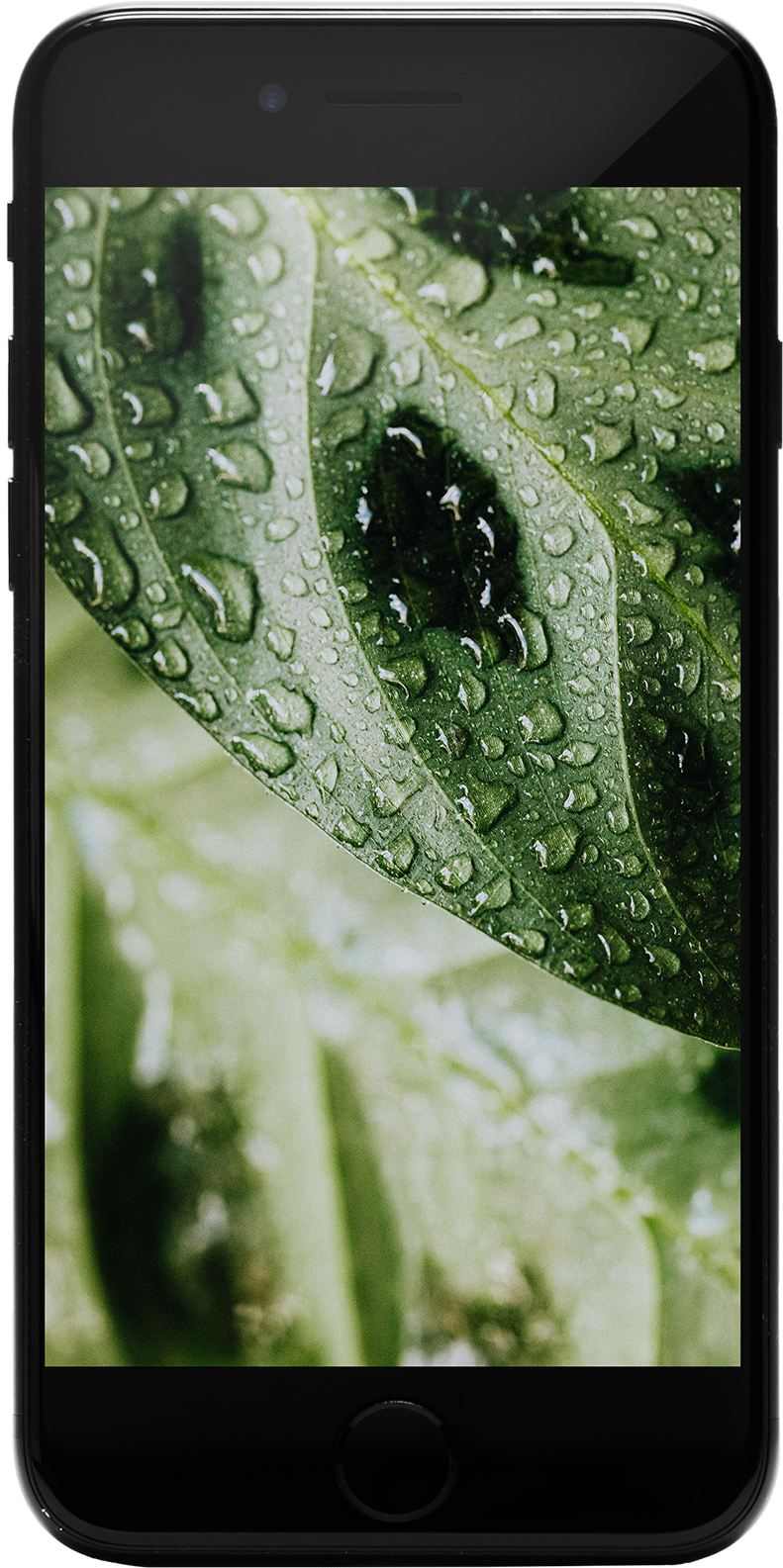 iPhone SE (2020) 64GB Schwarz Premium Refurbished