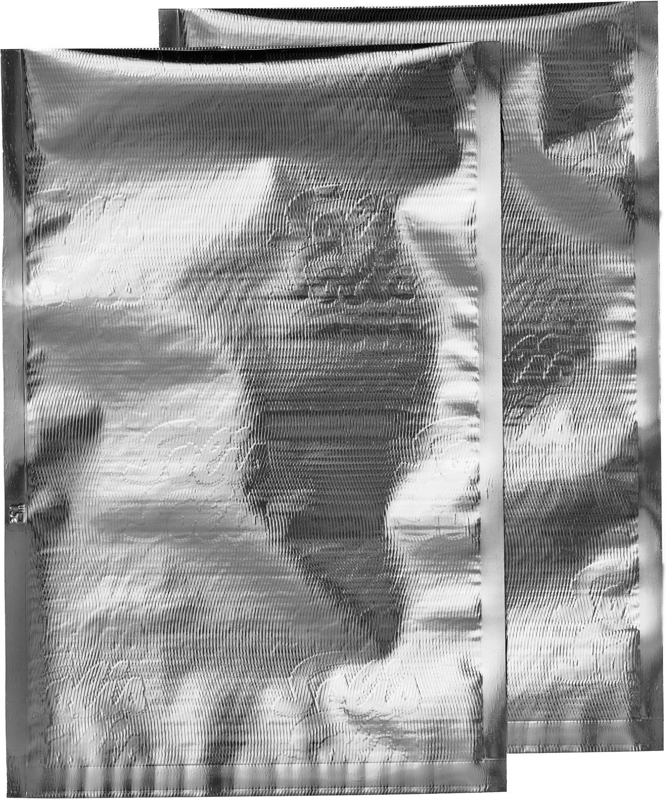 Bags, Lightblocker Plus 50 Stück Vakuumierer-Beutel