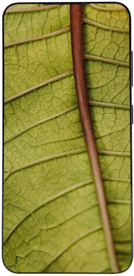 Samsung Galaxy S23 5G 128GB (Dual-Sim) Premium Refurbished