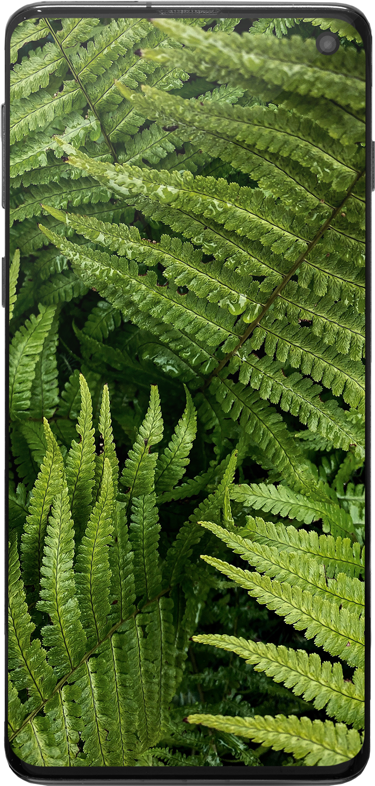 Samsung Galaxy S10 128GB Schwarz (Single-SIM) Premium Refurbished