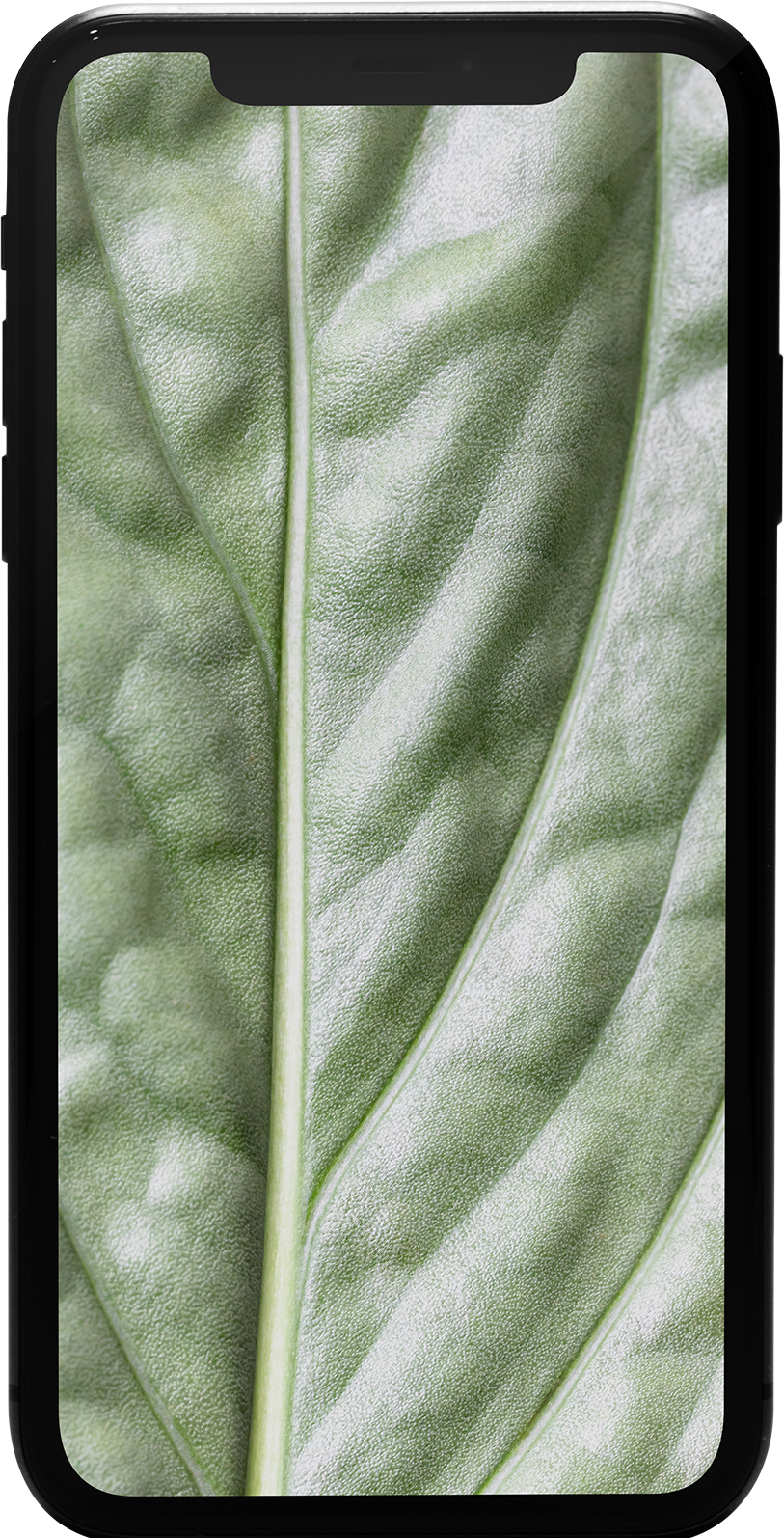 iPhone 11 64GB Schwarz Premium Refurbished