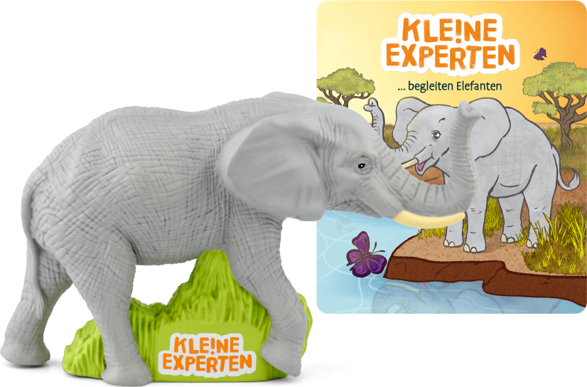 KLE!NE EXPERTEN - ...begleiten Elefanten