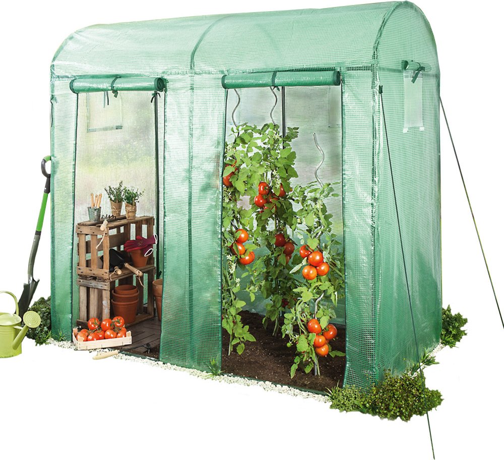 Thumbnail - Tomatengewächshaus mit 2 Tore und 2 Fenstern, ca. 200 x 100 x 150/180 cm - Grün