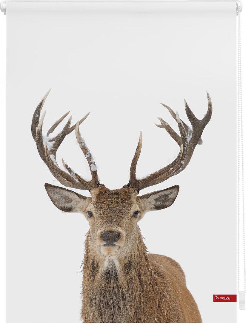 Rollo Klemmfix, ohne Bohren, blickdicht, Hirsch - Weiß Braun, 90 x 150 cm (B x L)