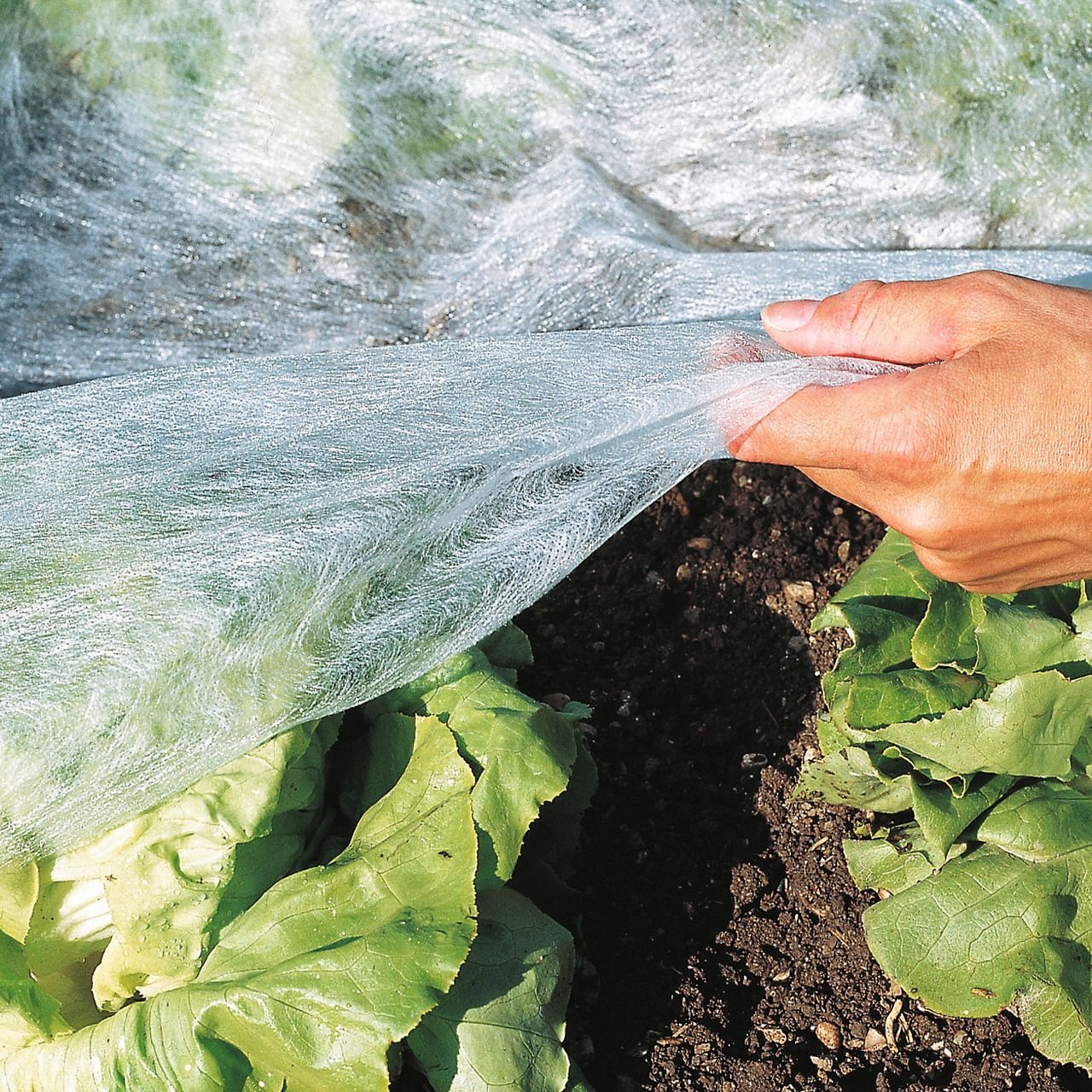 Garten-Vlies 10x1,5m 17g/m²