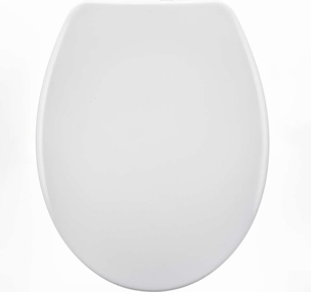 WC Sitz mit Schnellverschluss