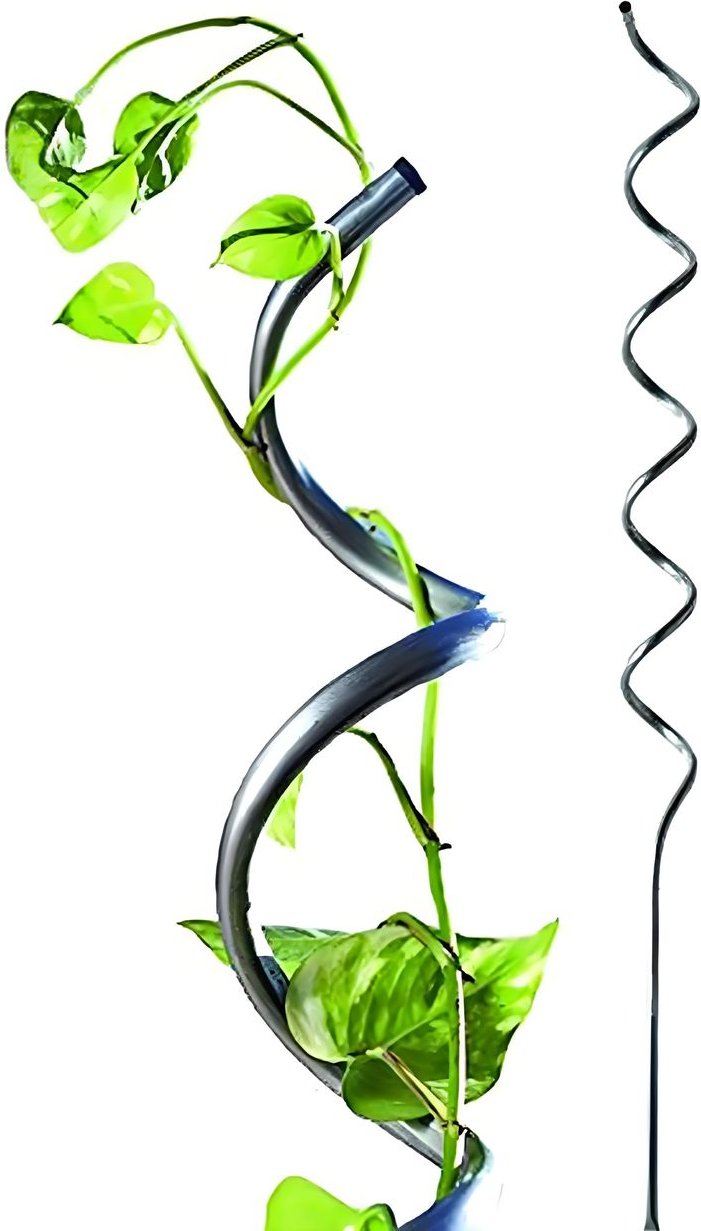 Tomatenspiralstäbe, 20er Set, ca. 180 x 0,58 cm – Metallfarben