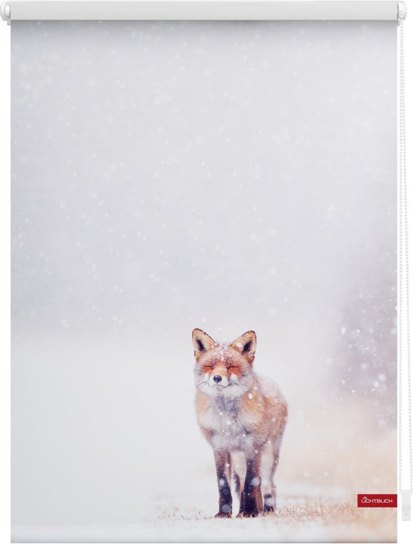 Rollo Klemmfix, ohne Bohren, blickdicht, Fuchs im Schnee - Weiß Rot, 100 cm x 150 cm (B x L)
