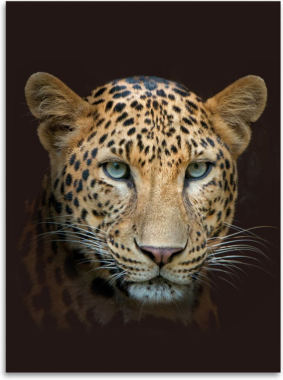 Flanell Wohndecke Leopard