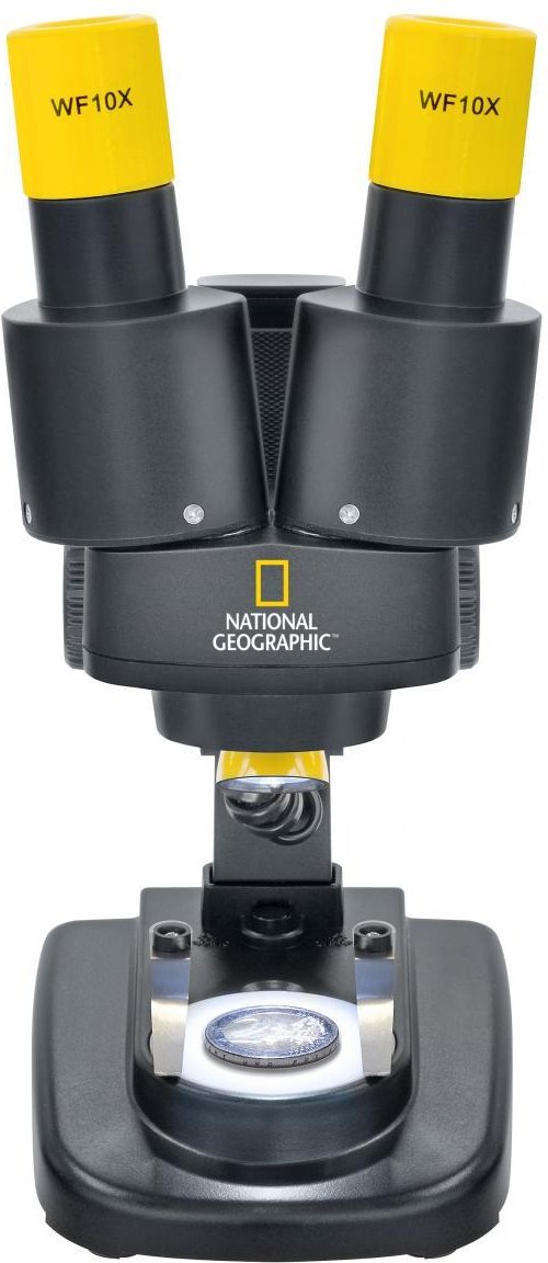 Binokulares Mikroskop