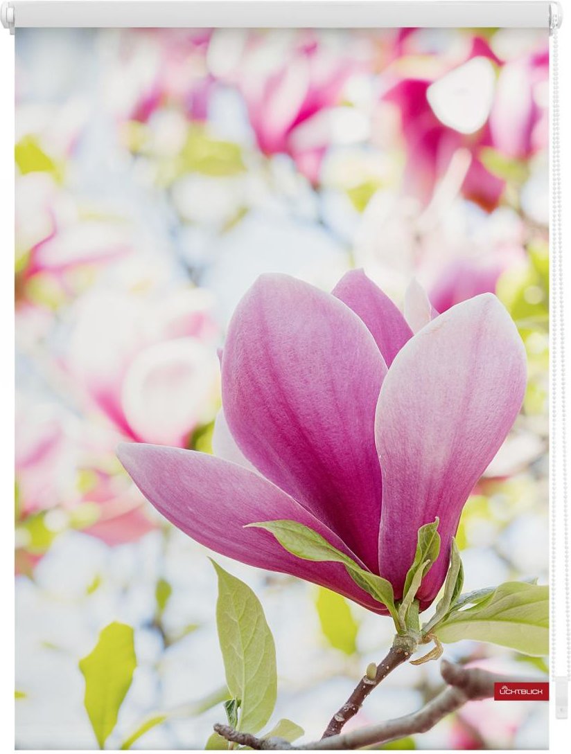 Rollo Klemmfix, ohne Bohren, blickdicht, Magnolie - Rosa, 120 x 150 cm (B x L)
