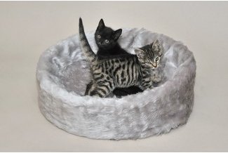 Ruhe- und Schlafinsel grau