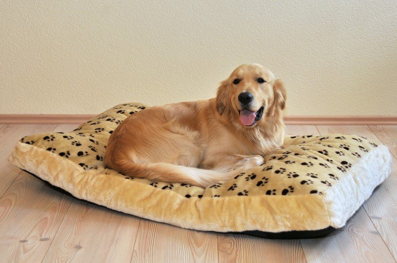 Liegewiese Silvio, 42 x 75 x 8 cm, beige/braun