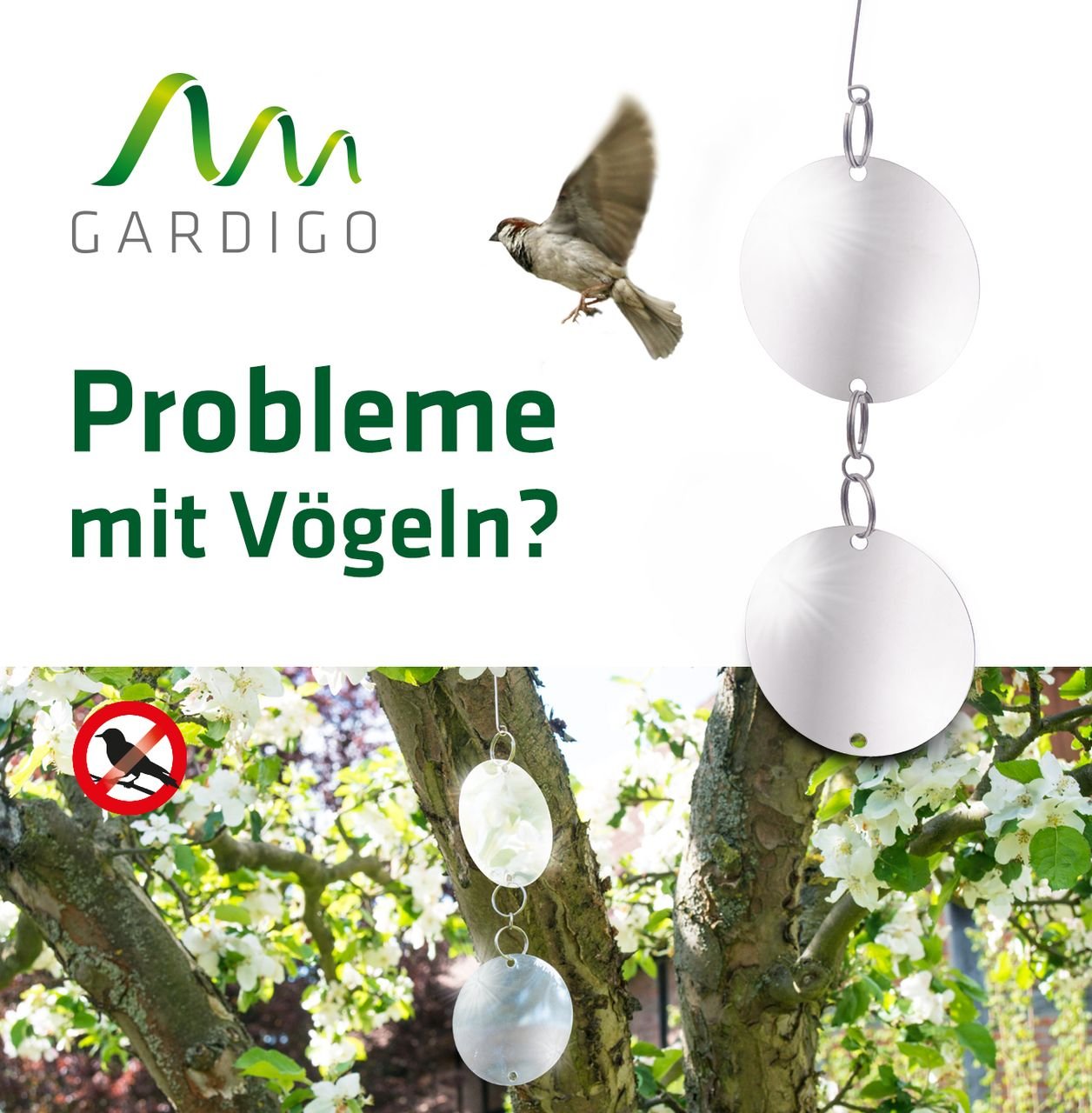 Vogelfrei Reflekt