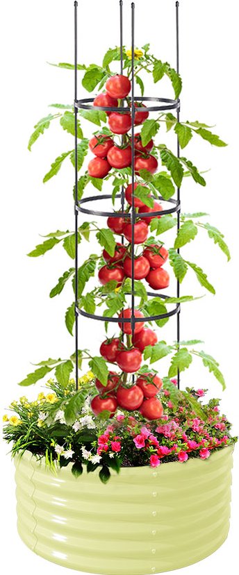Thumbnail - Design-Pflanzkübel mit Rankhilfe für Tomatenpflanzen, ca. ¿ 60 x 30 cm - Weiß