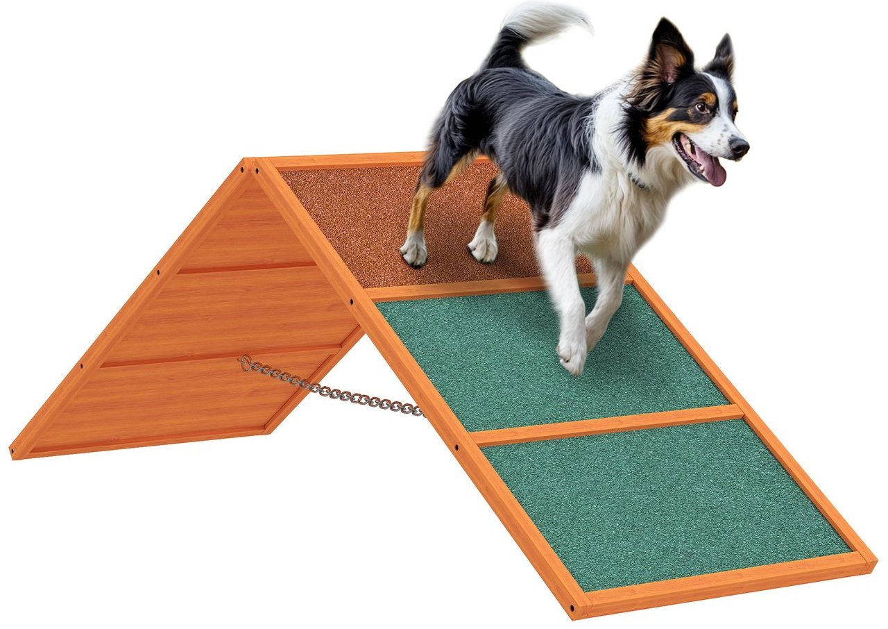 Hunde Agility Steg Agility-Ausrüstung für Hunde mit klappbare Brücke, Orange