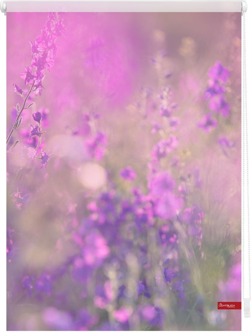 Thumbnail - Rollo Klemmfix, ohne Bohren, blickdicht, Blumenwiese - Fuchsia Violett, 60 x 150 cm (B x L)