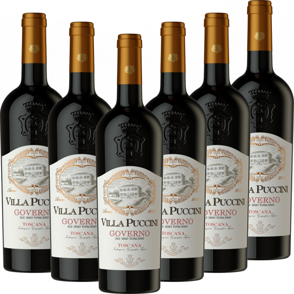 Toscana Governo alluso toscano IGT Villa Puccini Italien trocken - 6er Karton