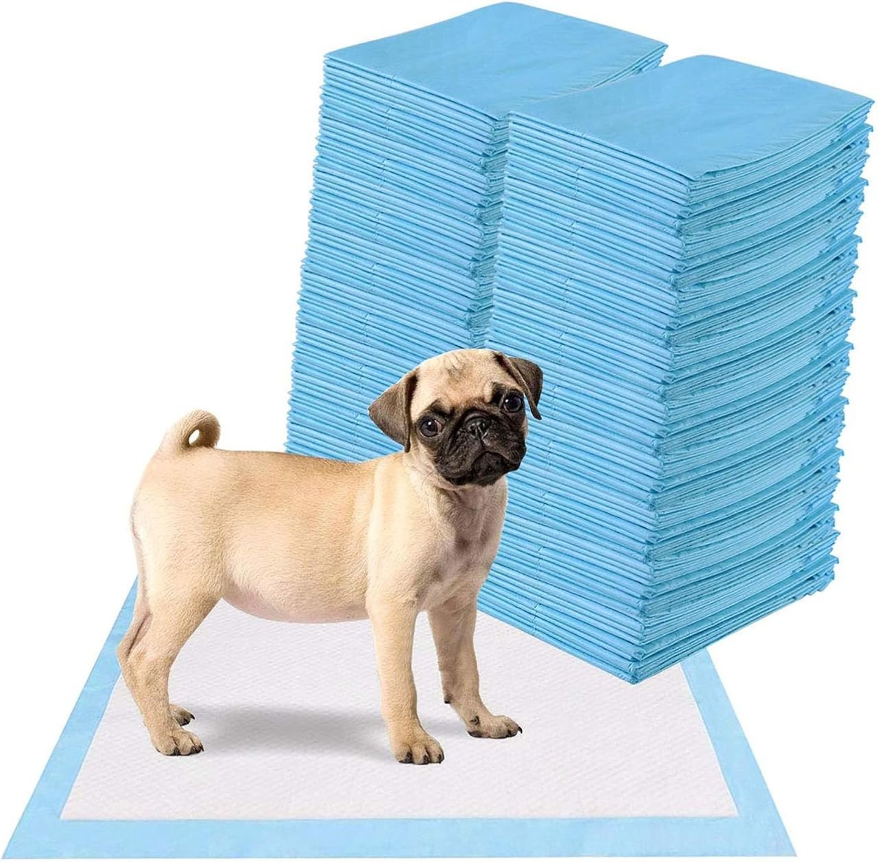 Trainingsunterlagen Hunde, Auslaufsicheres 5-lagiges Design