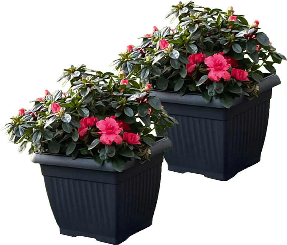 Powertec Garden Pflanztopf "Lucca" - 2er-Set, Anthrazit, je ca. 24 x 24 x 20 cm, Eckig
