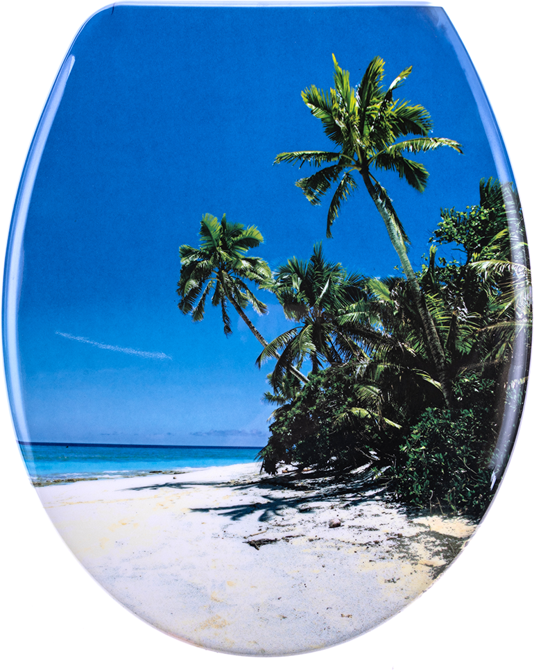 WC Sitz mit Schnellverschluss