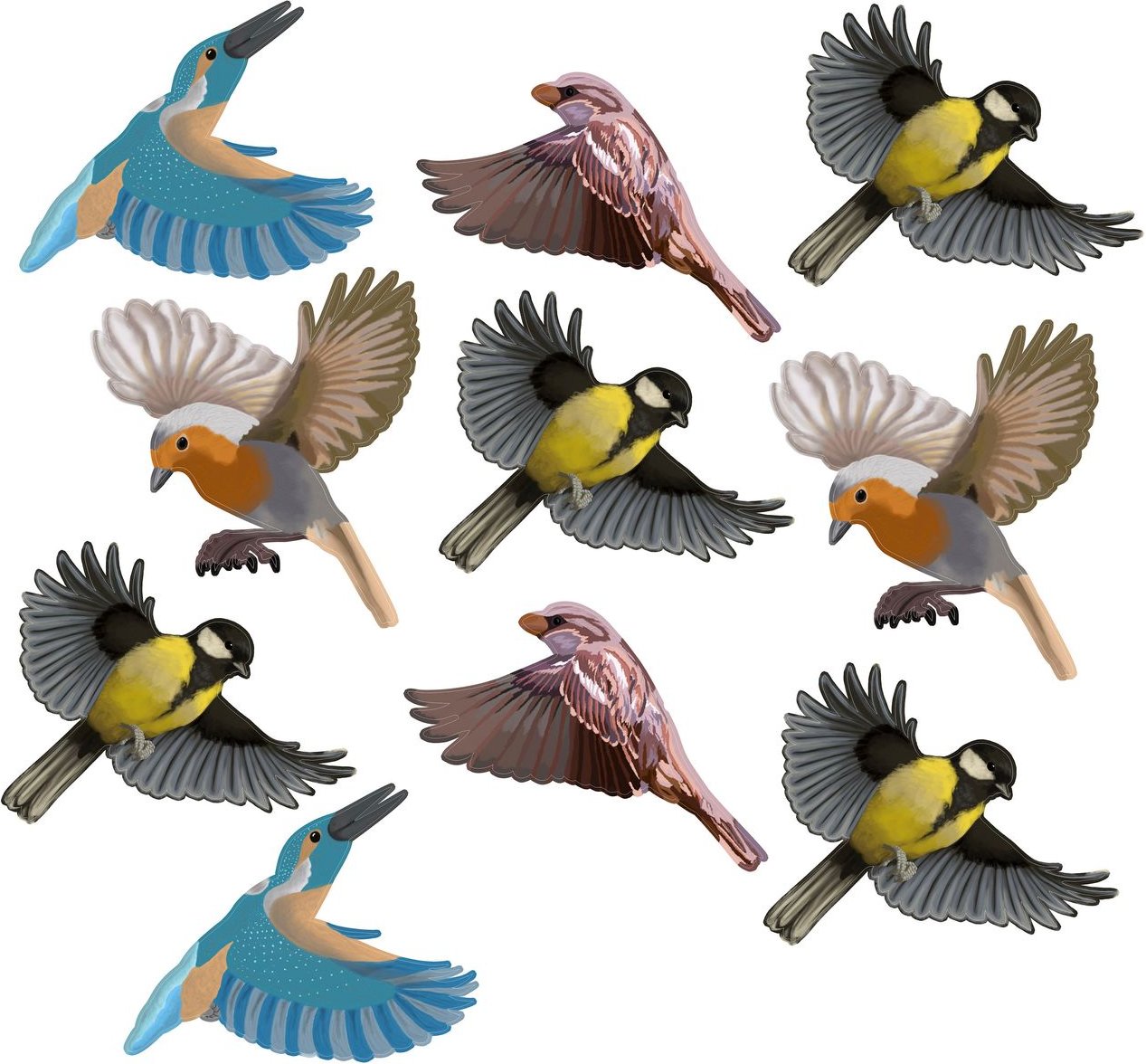 Vogel Silhouetten Heimische Vögel