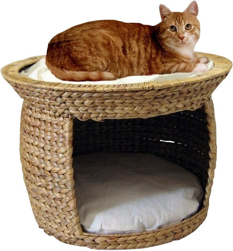 Katzen Korbturm Wasserhyazinthe