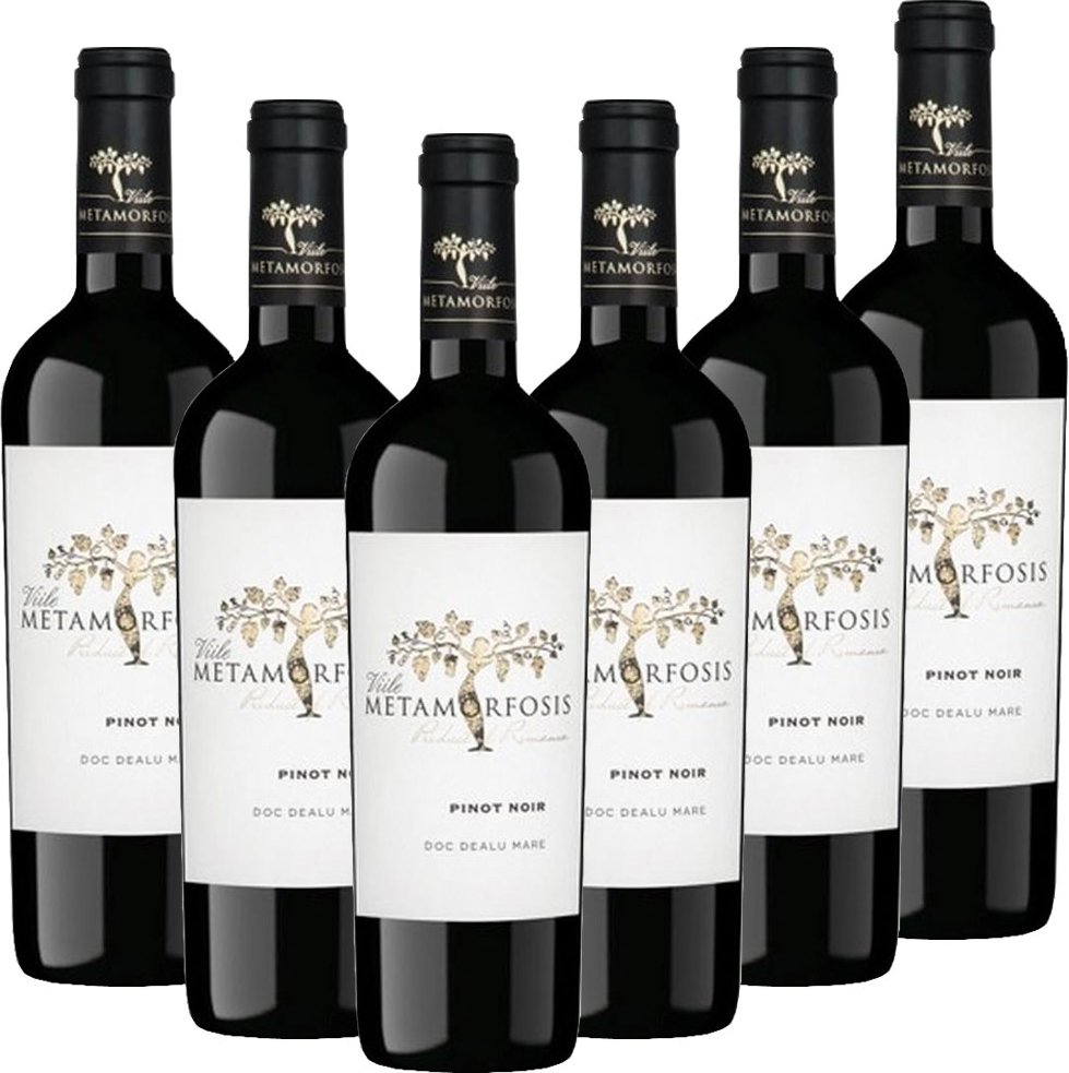 METAMORFOSIS Pinot Noir DOC - 6er Karton