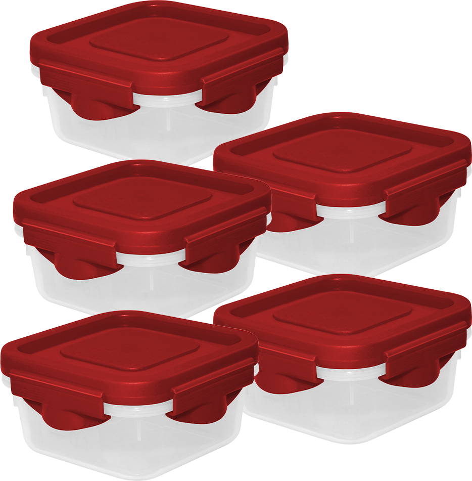 Premium Frischhaltedosen - 5er-Set