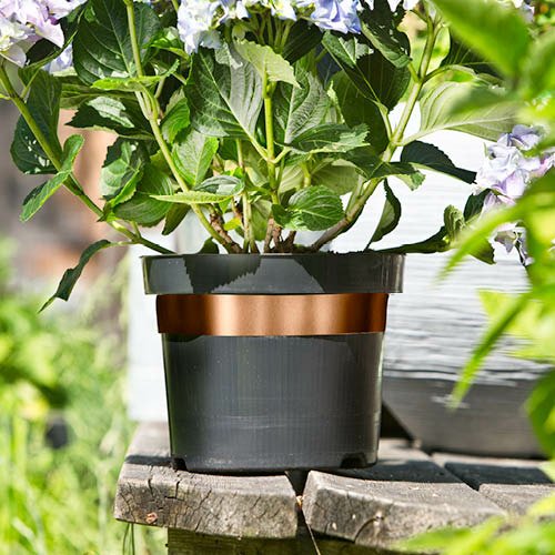 Schnecken-Abwehrband Kupfer 3cmx500cm