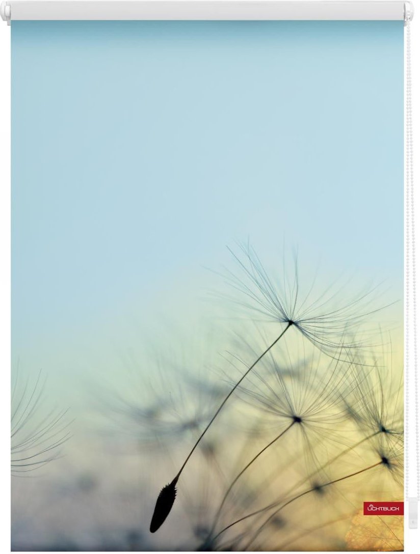 Rollo Klemmfix, ohne Bohren, blickdicht, Pusteblume - Blau, 90 x 150 cm (B x L)