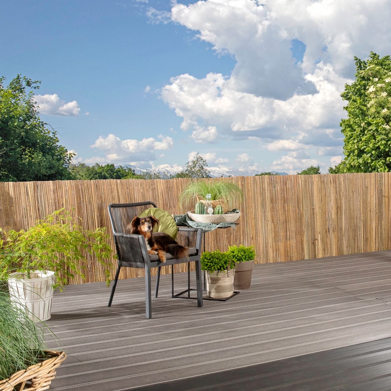 Sichtschutzmatte Mitake 180x300 cm