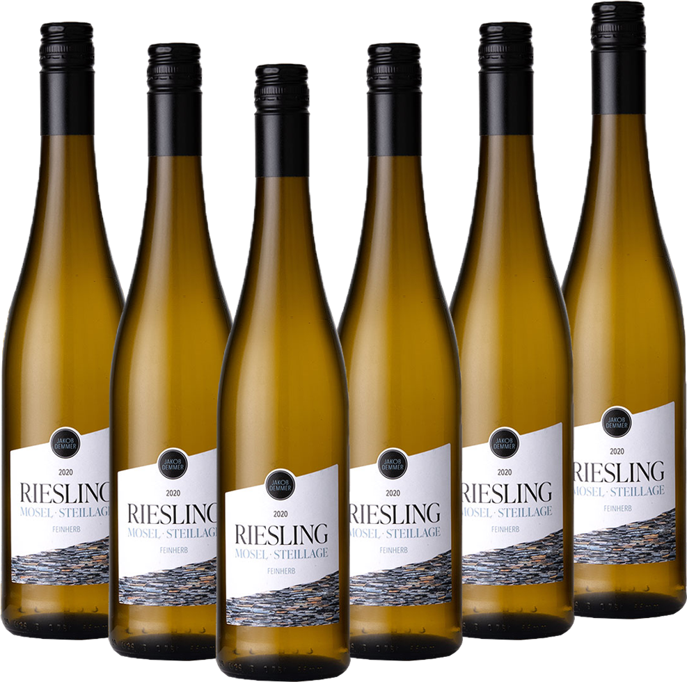 Jacob Demmer Mosel Riesling 2024 - 6er Karton