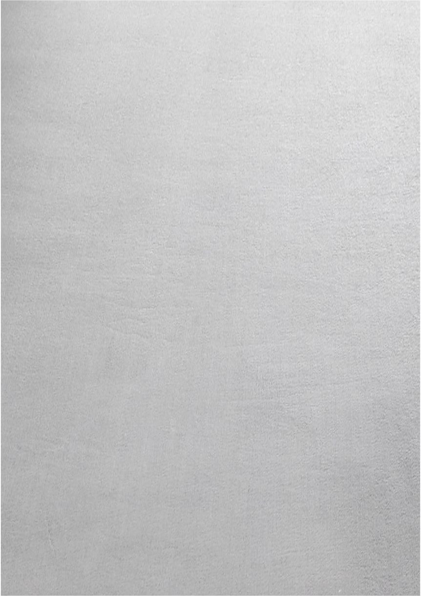 Teppich, SKY 5400, SILVER, 80 x 150 cm