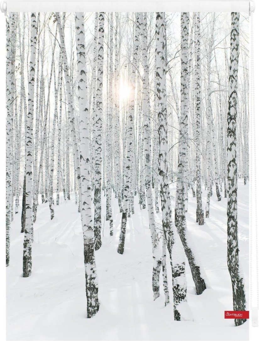 Rollo Klemmfix, ohne Bohren, blickdicht, Birkenwald - Weiß, 80 x 150 cm (B x L)