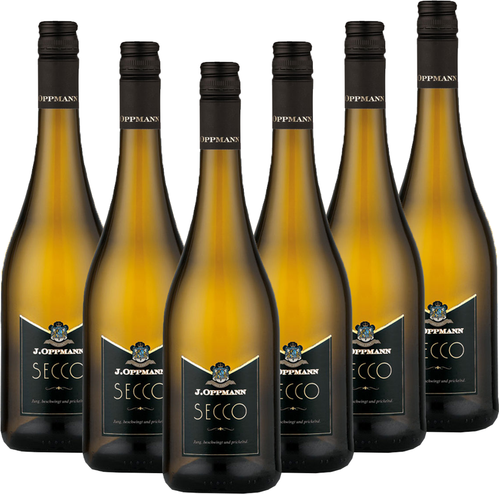 Secco trocken 6er-Karton