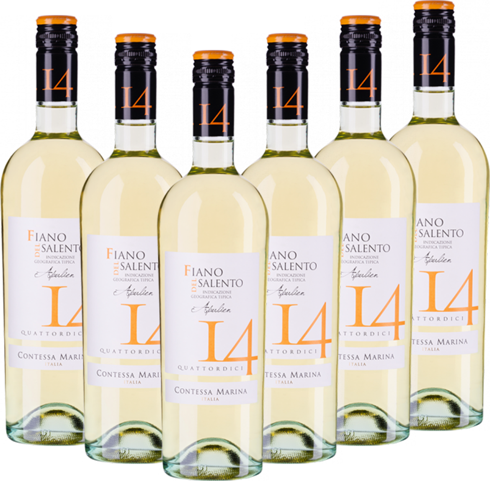 Fiano Salento IGT 14 Contessa Marina Italien trocken - 6er Karton