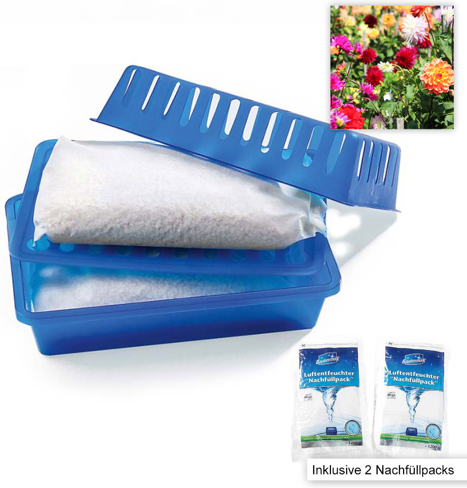 Luftentfeuchter Starter-Set mit Blumenfrische - Grau